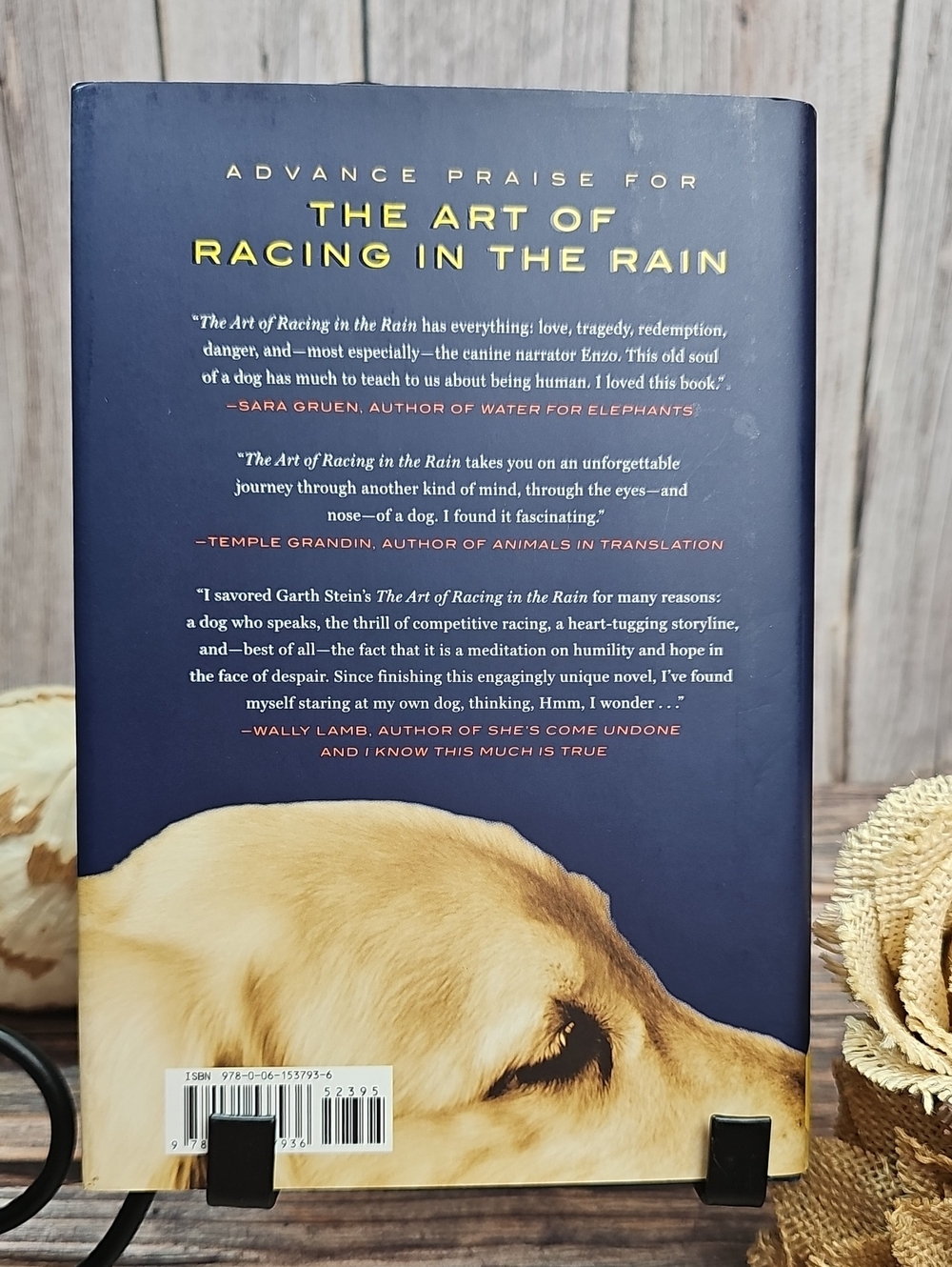 THE ART OF RACING IN THE RAIN A NOVEL BY GARTH STEIN HARDCOVER - Picture 2 of 8